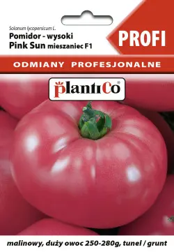 Pomidor PINK SUN F1