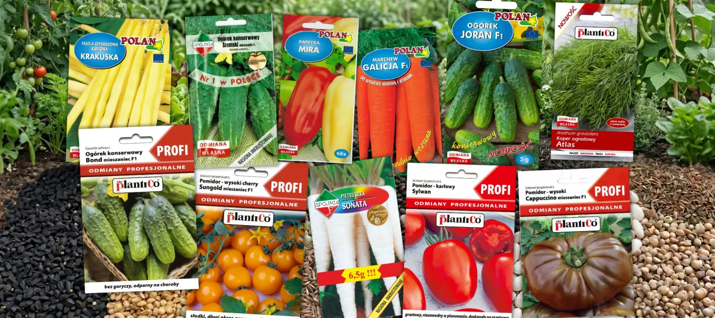 Warzywne hity i nowości 2026