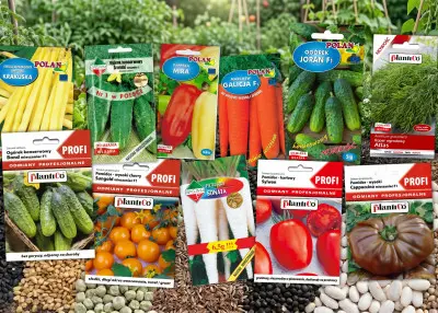 Jakie nasiona warzyw wybrać na 2026 rok? Polecamy nowości i bestsellery