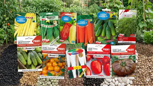 Jakie nasiona warzyw wybrać na 2026 rok? Polecamy nowości i bestsellery