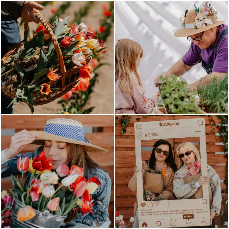 Zerwij swój bukiet z pola w Jutrosinie