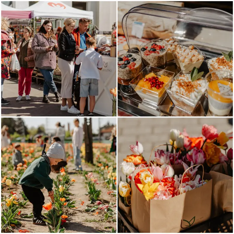 Zerwij swój bukiet z pola w Jutrosinie