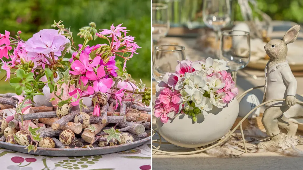 Wielkanoc w kwiatach – pomysły na dekoracje kwiatowe z pelargoniami