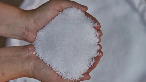 Siarczan amonu do ogrodu. Jak stosować? Po co i jakie rośliny nim nawozić?