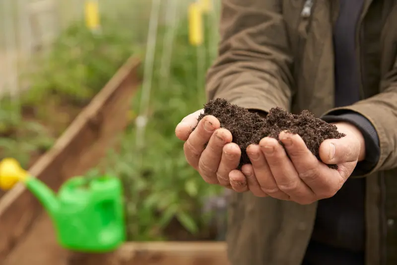 Wiosenne nawożenie kompostem