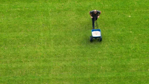 Wiosenne nawożenie trawnika – krok po kroku i bez błędów