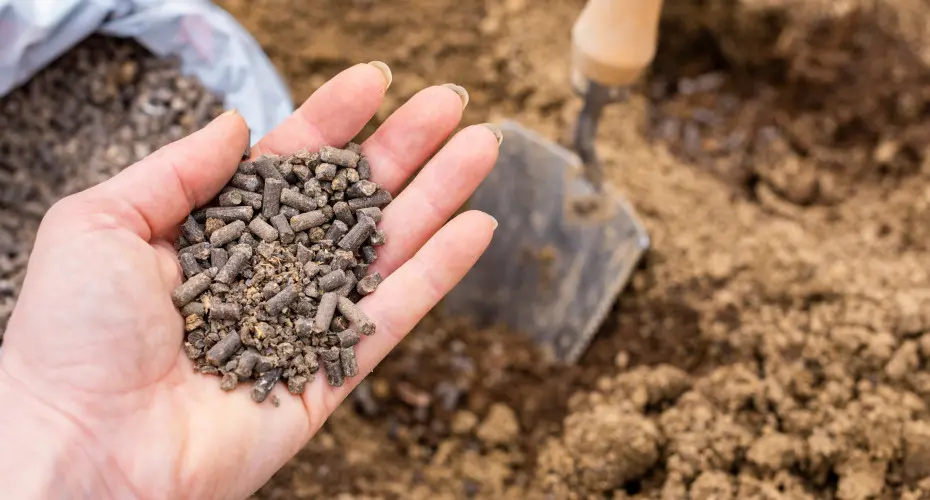 Naturalne wsparcie dla gleby i roślin. Te granulki ogrodnicy stosują zamiast chemii