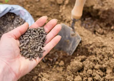 Naturalne wsparcie dla gleby i roślin. Te granulki ogrodnicy stosują zamiast chemii