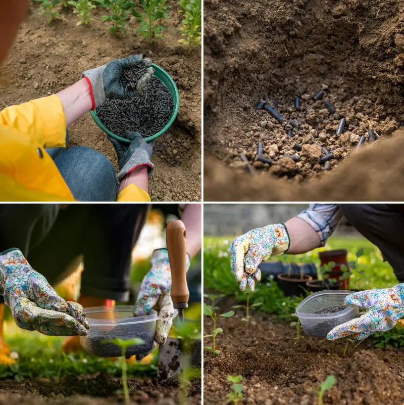 Stosowanie obornika granulowanego w ogrodzie