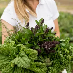 Jak mieć świeże zioła zawsze pod ręką? Wystarczy wysiać te nasiona – w domu, ogrodzie lub na balkonie