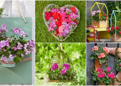 Pelargonie w nowej odsłonie. 26 pomysłów na balkon w sezonie 2026