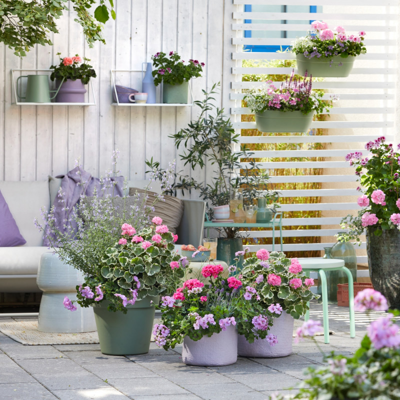 Aranżacja balkonu z roślinami w zimnych kolorach