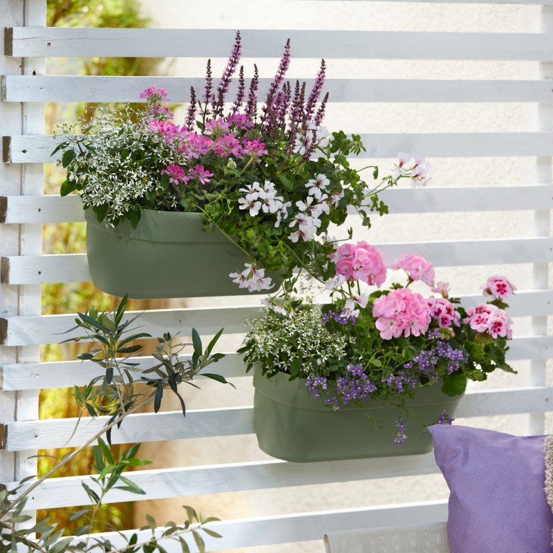 Wiszące skrzynki balkonowe z kompozycją w chłodnej tonacji