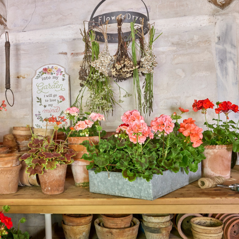 Letnia aranżacja balkonu z pelargoniami i suszonymi kwiatami