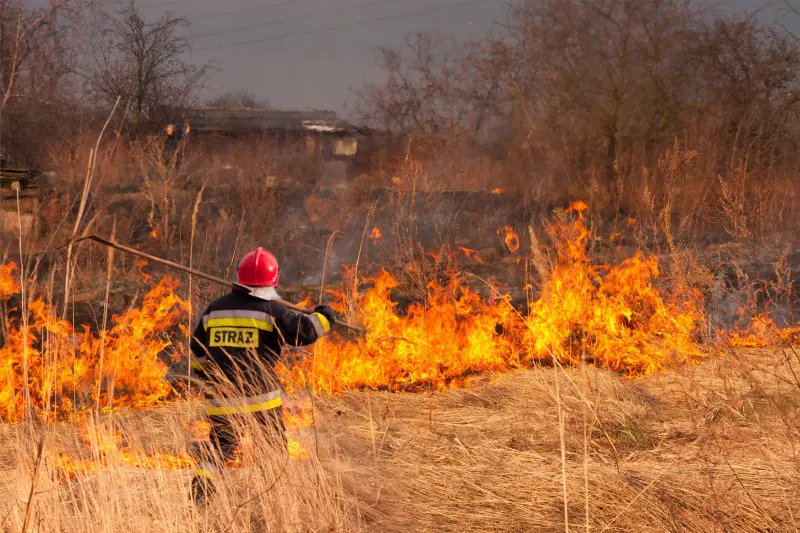 Czy wypalanie traw jest legalne i bezpieczne? Fakty, które warto znać