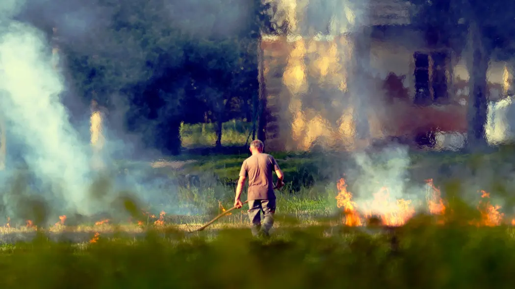 Dlaczego wypalanie traw jest szkodliwe dla środowiska? Fakty i mity