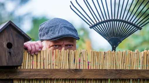 Savoir vivre w ogrodzie – jak żyć w zgodzie z sąsiadami?