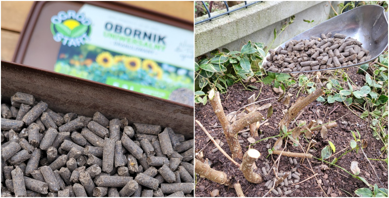 Stosowanie obornika granulowanego w ogrodzie