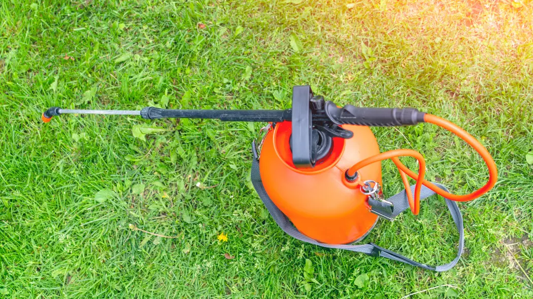 Oprysk na chwasty w trawie