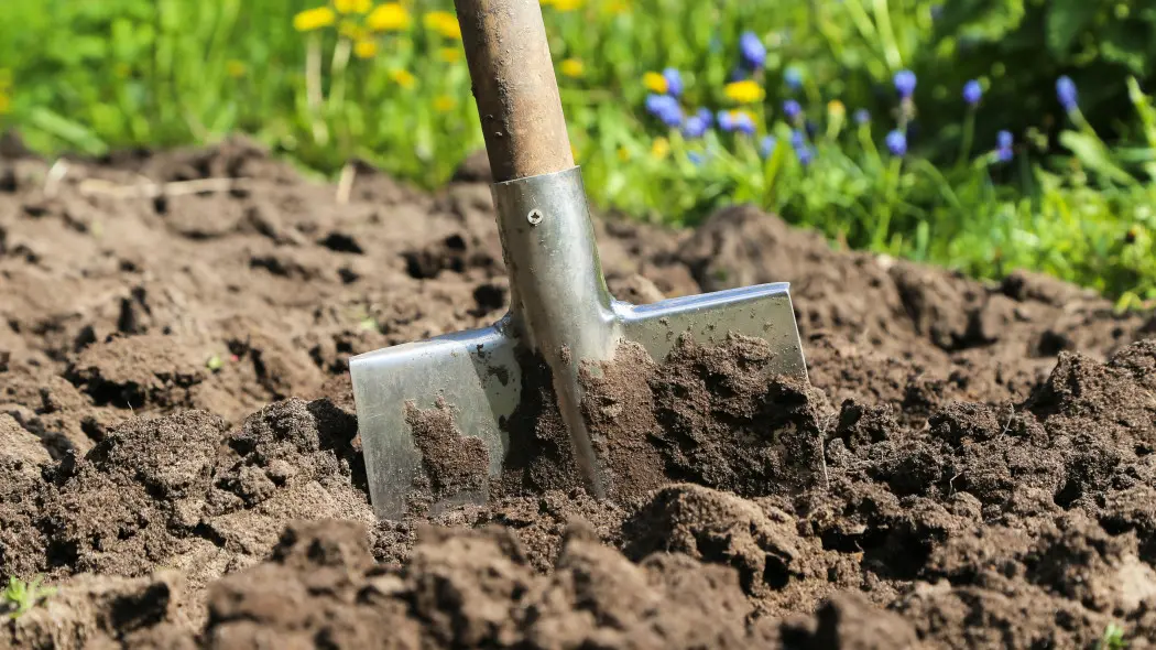 Wiosenne przekopywanie gleby. To nie zawsze dobry pomysł