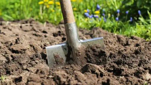 Wiosenne przekopywanie gleby. To nie zawsze dobry pomysł