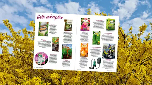 Co warto mieć pod ręką w kwietniu? Lista zakupów dla ogrodnika