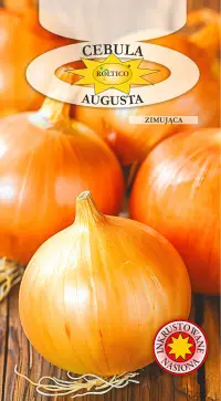 Cebula Augusta