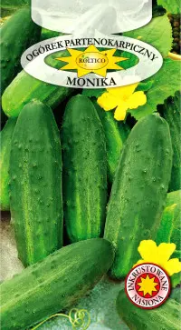 Ogórek partenokarpiczny Monika