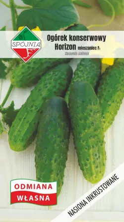 Ogórek HORIZON F1