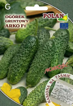 Ogórek ARKO F1