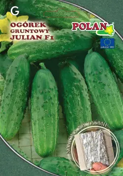 Ogórek JULIAN F1