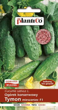 Ogórek TYMON F1