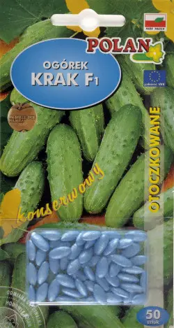 Ogórek KRAK F1