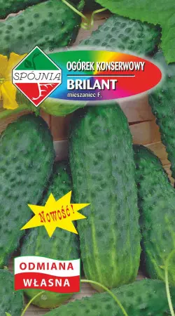 Ogórek BRILANT F1