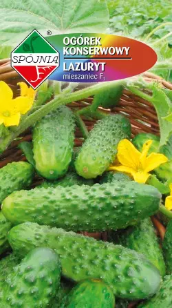 Ogórek LAZURYT F1