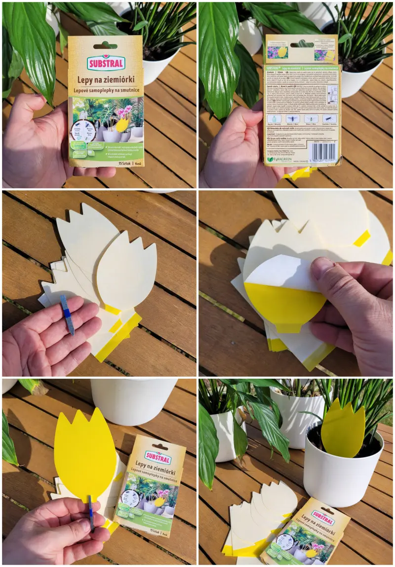 Lepy na ziemiórki