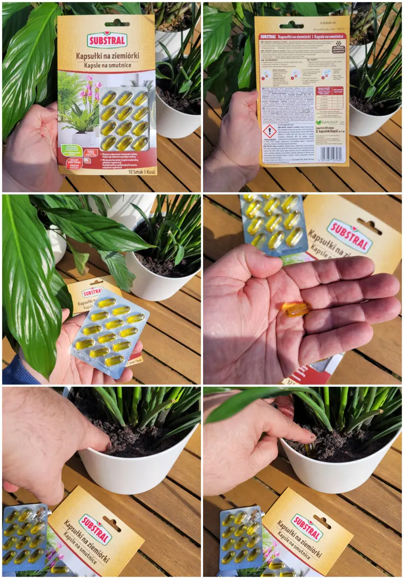 Kapsułki na ziemiórki