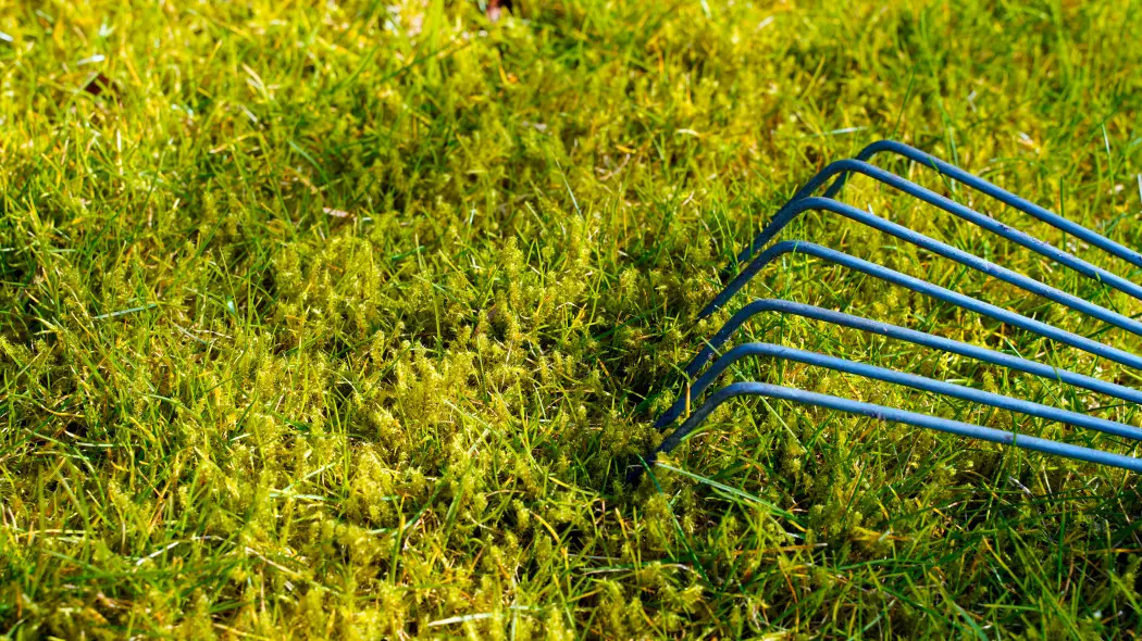 Masz mech zamiast trawy Najpierw popraw te 3 błędy, potem działaj