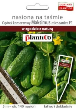 Ogórek-MAKSIMUS-F1