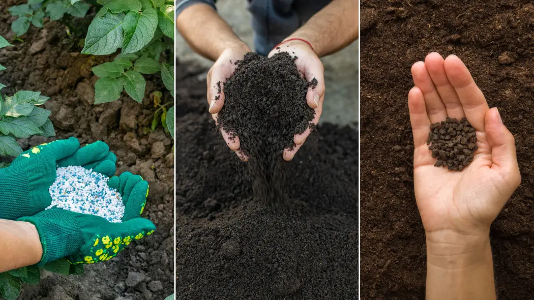 Jakie nawozy stosować wiosną? Wybierz 1 z 3