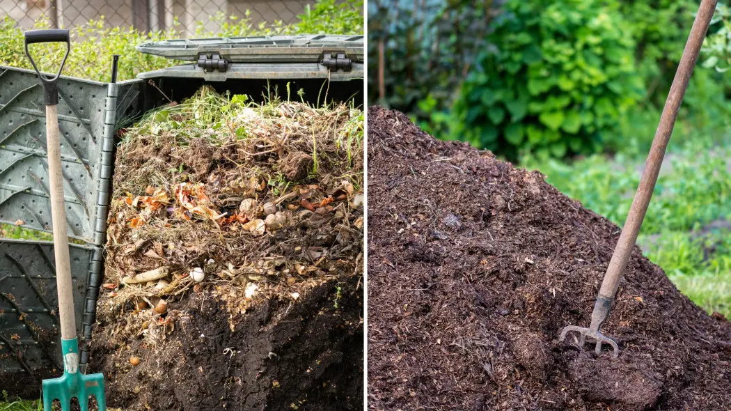Kompost czy obornik - jaki nawóz do ogrodu