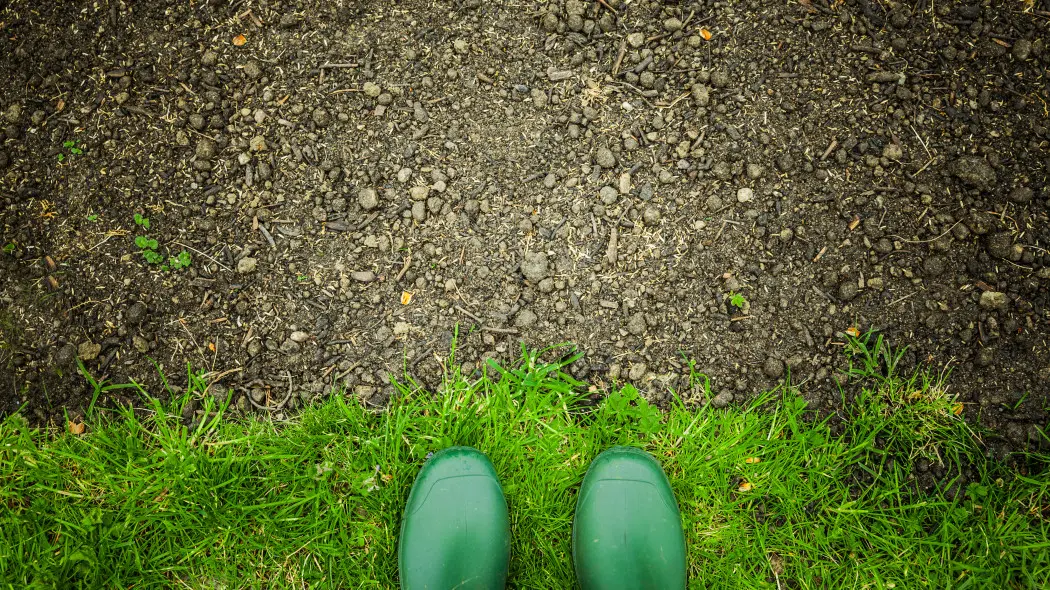 Jak dosiać trawę po zimie? Puste placki zazielenią się szybciej, niż myślisz