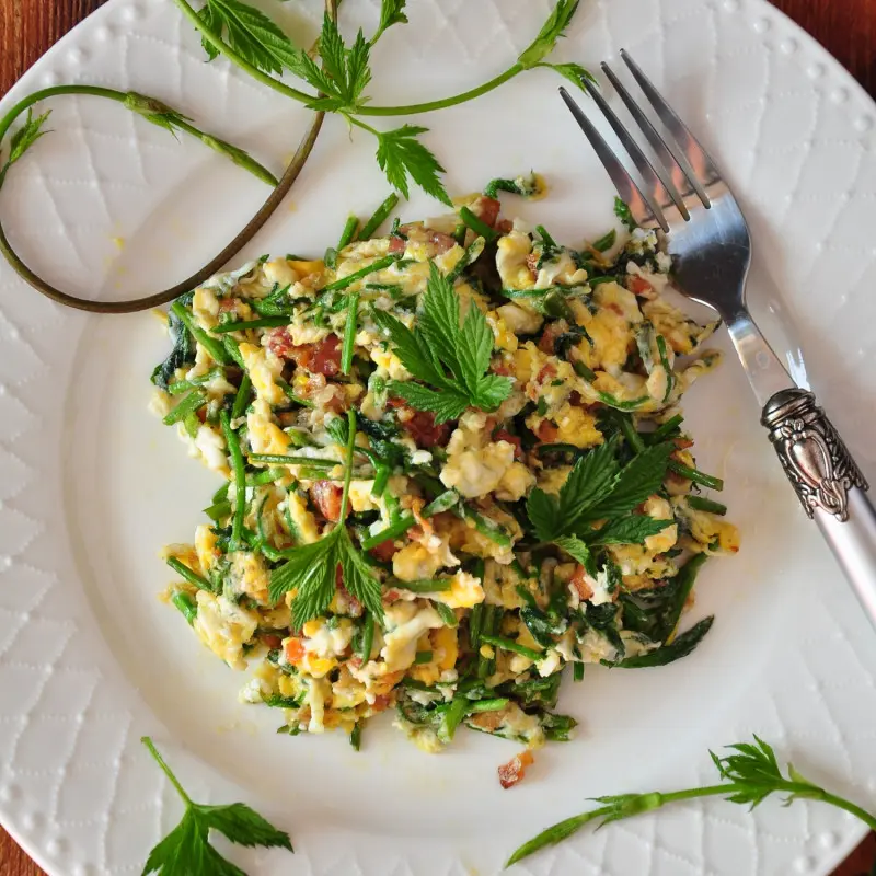 Jajecznica z pędami chmielu