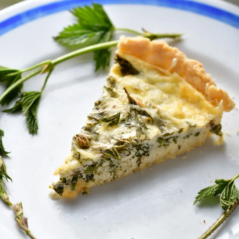 Tarta z młodymi pędami chmielu