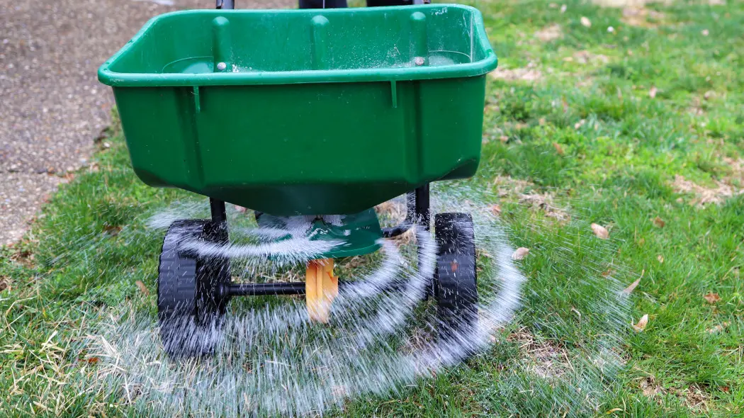 Nawożenie trawnika po zimie