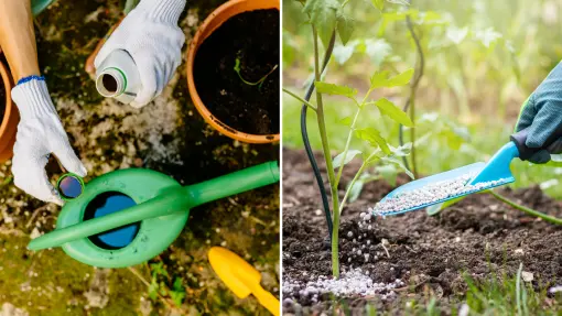 Płynny czy granulowany? Który nawóz jest lepszy dla roślin? I jak działają?