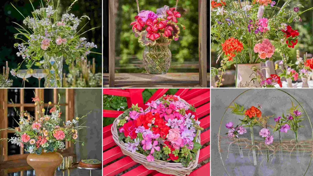 Kompozycje kwiatowe na stoły z wykorzystaniem ciętych pelargonii. Pomysły na bukiety i rękodzieło