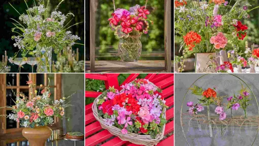 Kompozycje kwiatowe na stoły z wykorzystaniem ciętych pelargonii. Pomysły na bukiety i rękodzieło