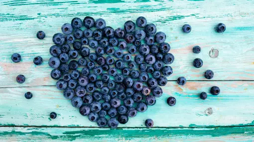 Sekret słodkich borówek? Kwaśna gleba to podstawa, ale nie tylko