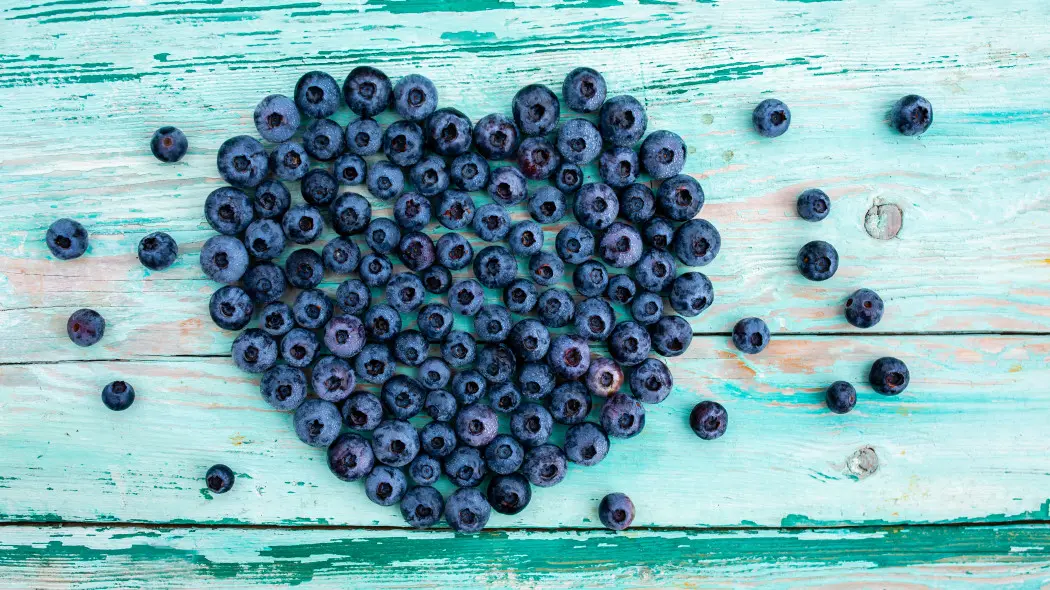 Sekret słodkich borówek